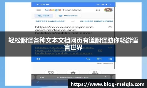 轻松翻译各种文本文档网页有道翻译助你畅游语言世界